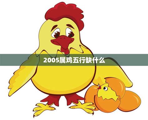 2005年生肖五行|2005属鸡五行属什么命运特点与性格特征？